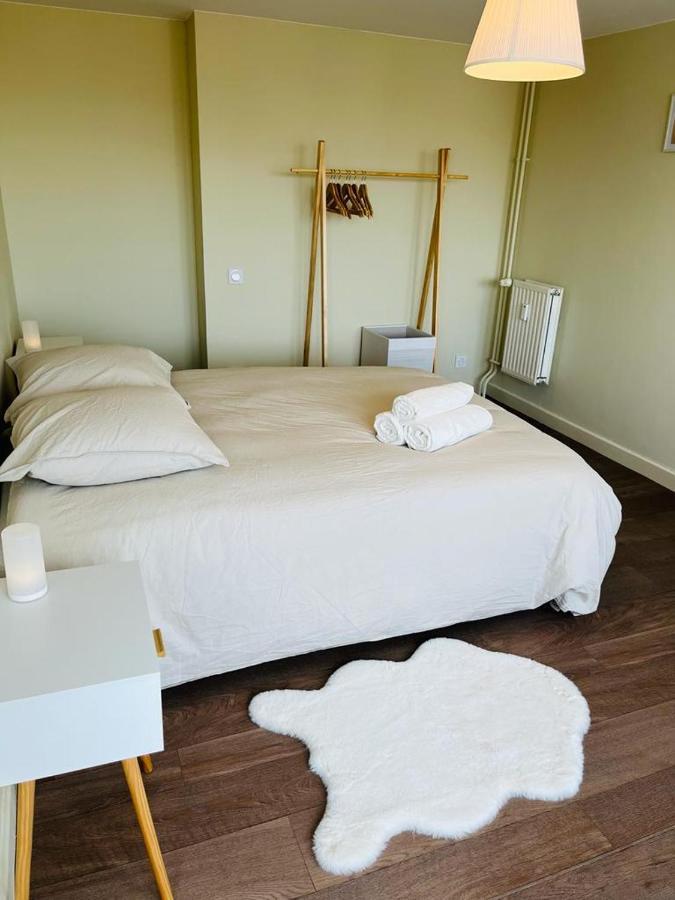 Espace 500 - Cosy, Wifi & Vue Sur La Ville Saint-Etienne  Kültér fotó